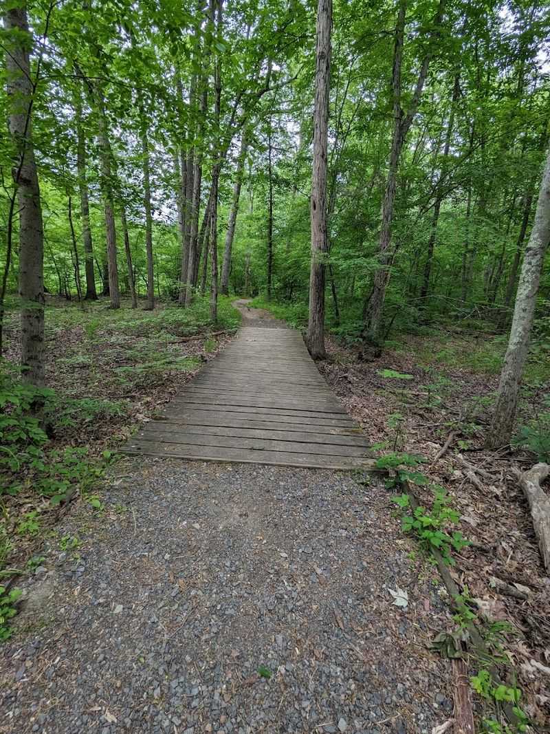 A Trail System Built for All Skill Levels A Trail System Built for All Skill Levels