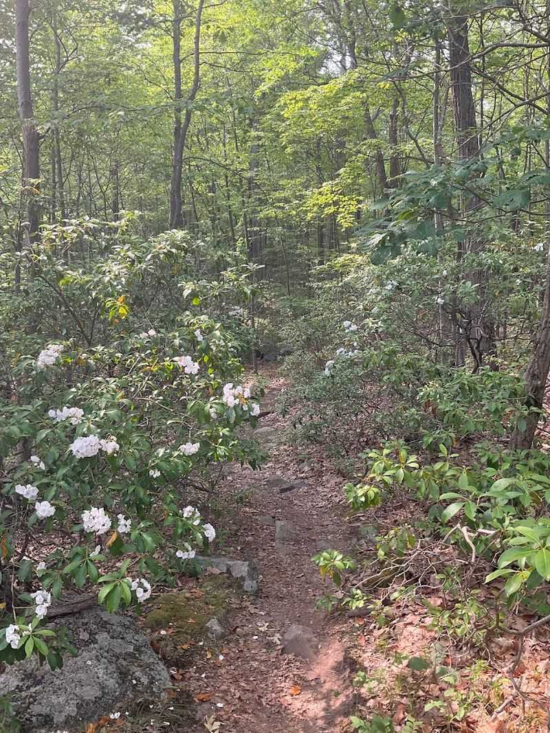 A Trail System Built for Exploration