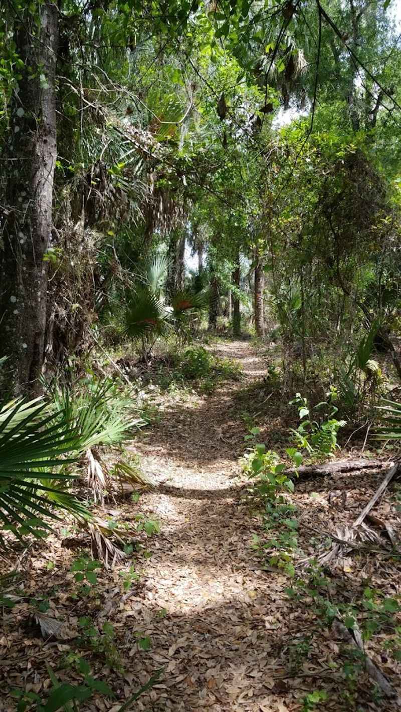 A Trail That Stays Off the Beaten Path