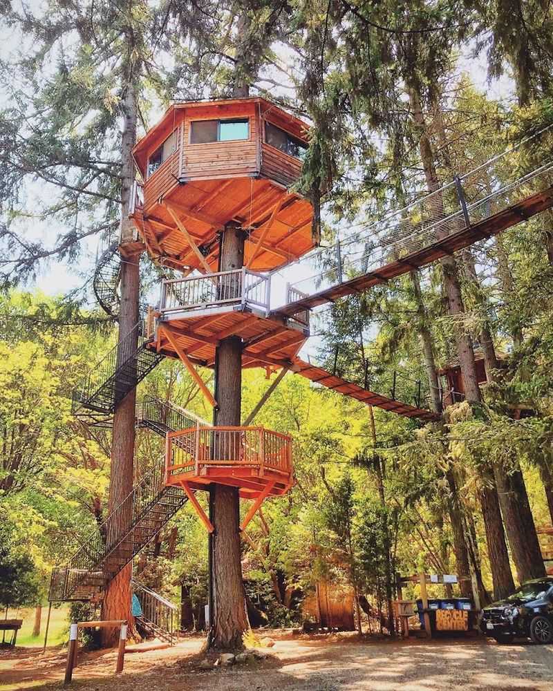 A Treehouse for Every Type of Traveler