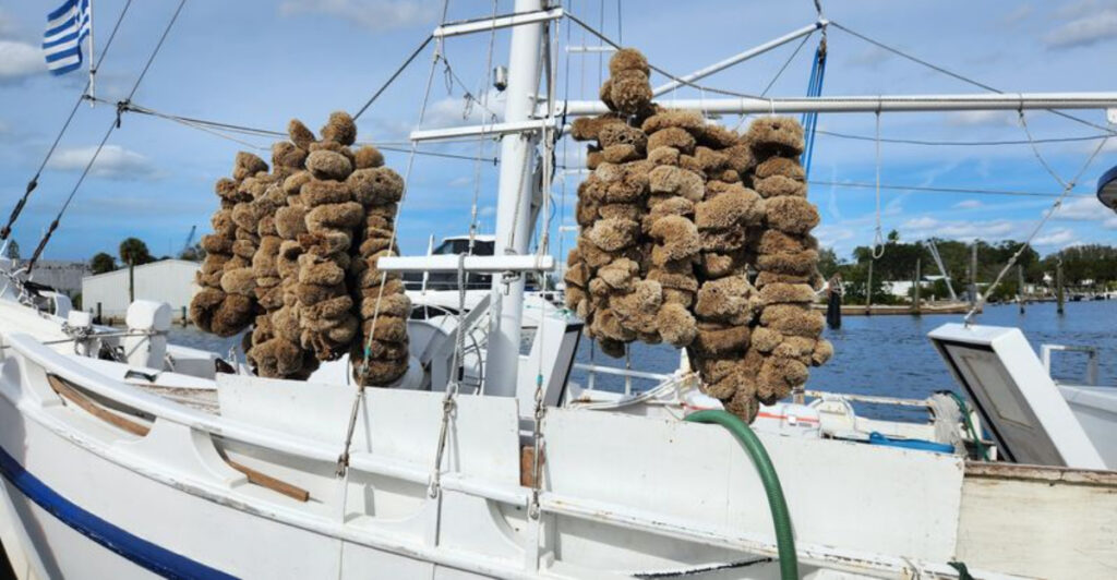 A Visit to These Famous Sponge Docks Feels Like Stepping Into Another Country