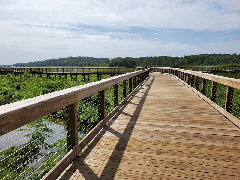 A Wetland World You Did Not Expect to Find Here