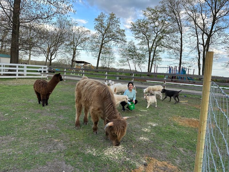 A Working Farm That Takes Animal Care Seriously