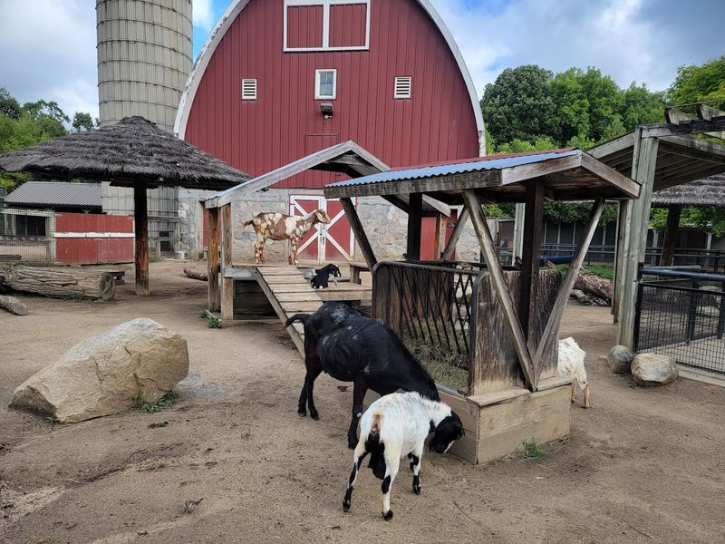 A Zoo That Grew From a City Park