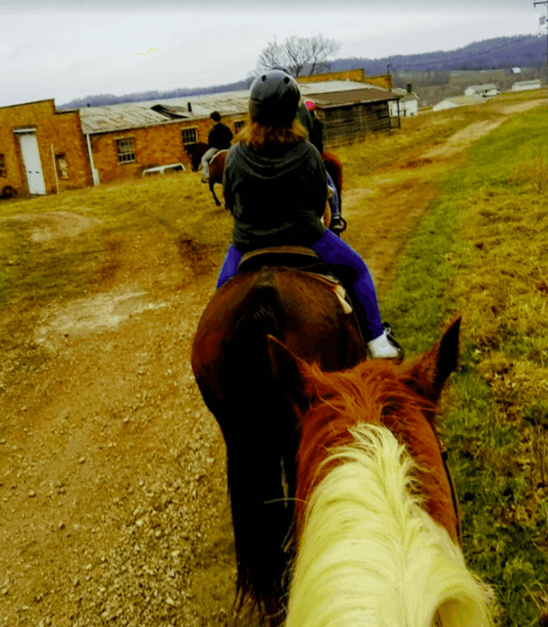 ATV Tours and Horseback Riding