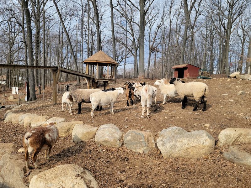 Abma's Farm In Wyckoff, New Jersey Abma's Farm In Wyckoff, New Jersey