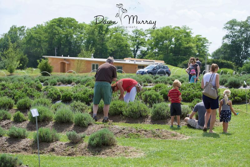 Activities for Families and Kids