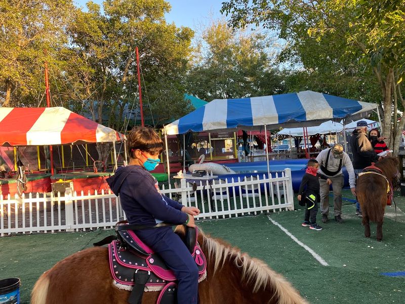 Activities for Kids: Pony Rides, Bumper Cars, and Play Areas Activities for Kids: Pony Rides, Bumper Cars, and Play Areas