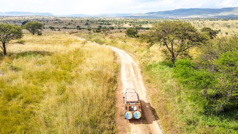 African Safari in the Serengeti, Tanzania African Safari in the Serengeti, Tanzania