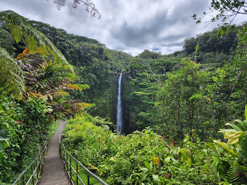Akaka Falls State Park (Big Island) Akaka Falls State Park (Big Island)