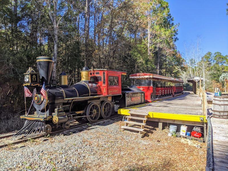 All Aboard: The Train Ride Through the Park
