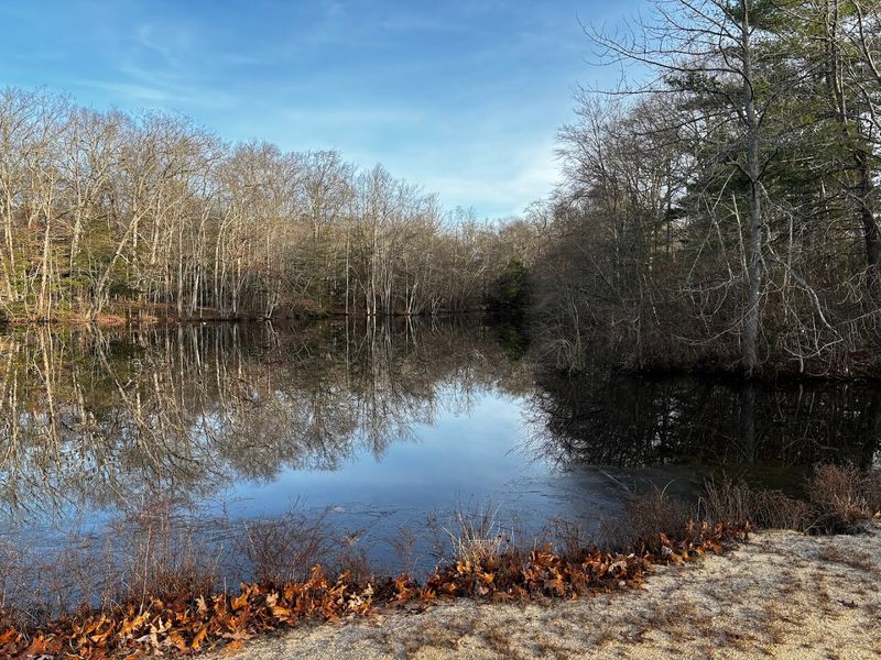 Allaire State Park, Farmingdale, New Jersey Allaire State Park, Farmingdale, New Jersey