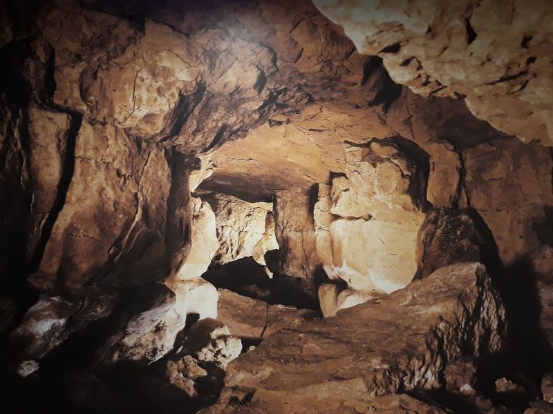 Altamira Neocave, Spain