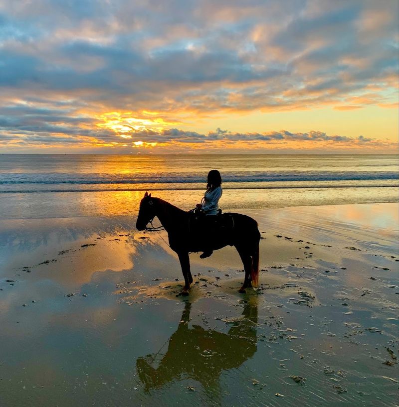 Amelia Island Horseback Riding – Amelia Island
