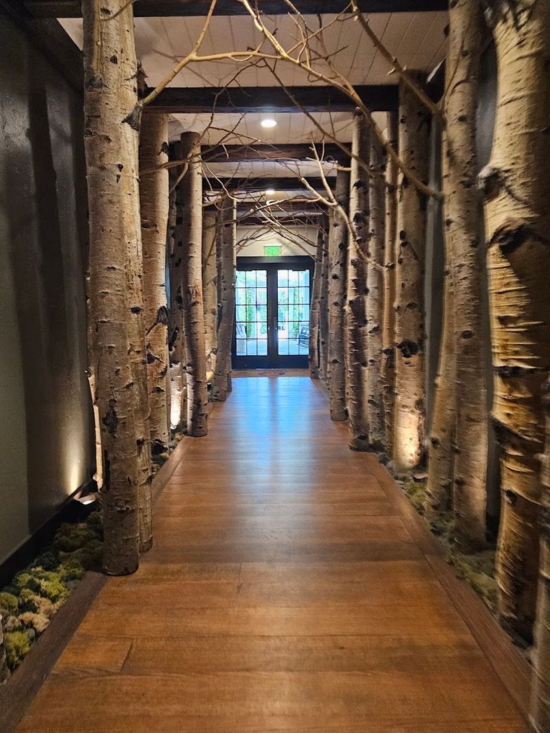 An 18,000-Square-Foot Space That Feels Like a Forest Brought Indoors