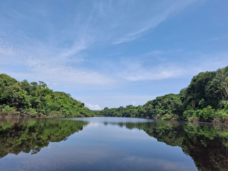 Anavilhanas National Park