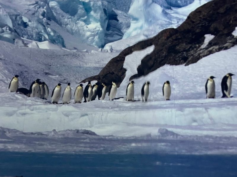 Antarctica Has Only Two Main Seasons Antarctica Has Only Two Main Seasons