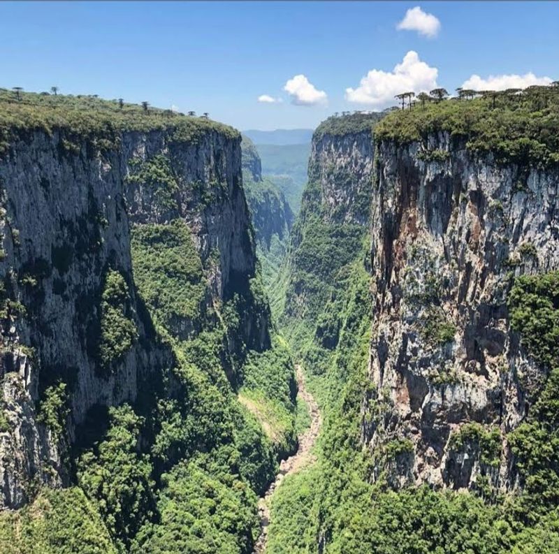 Aparados da Serra National Park