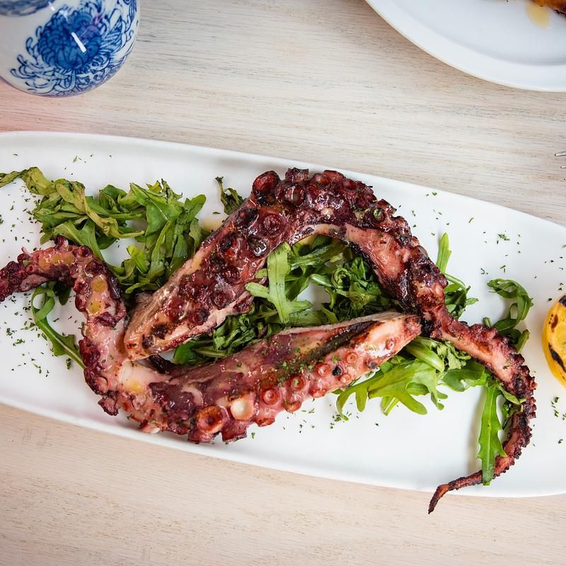 Appetizers That Steal the Opening Act Every Single Time