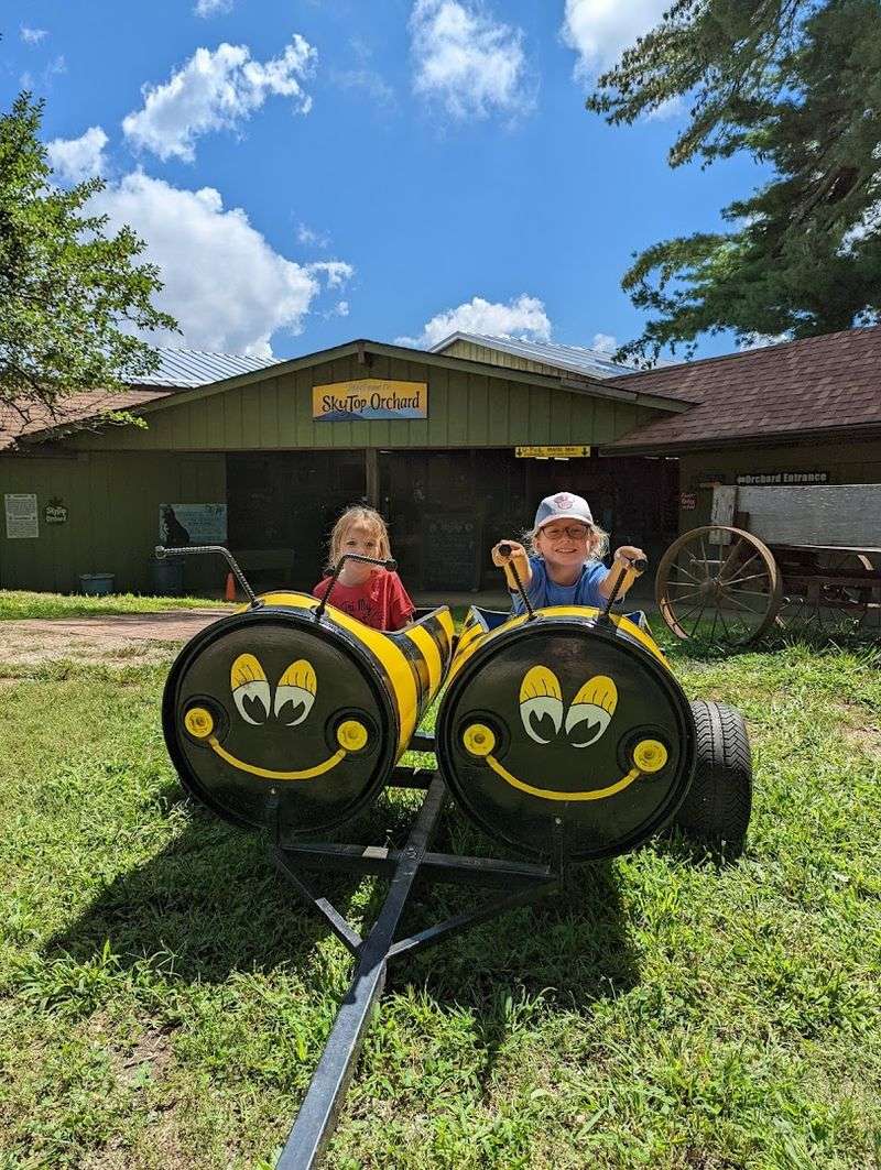 Apple Cannons and Active Family Fun