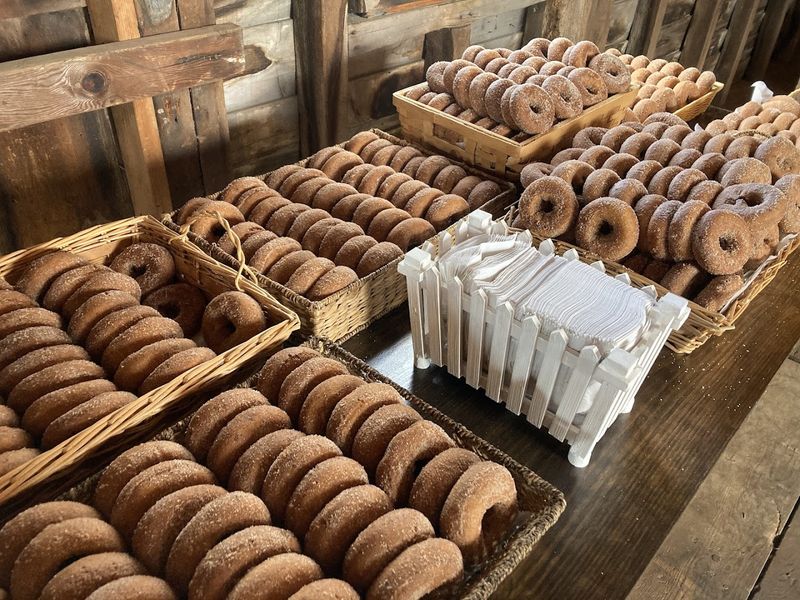 Apple Cider Donuts and Why Everyone Talks About Them