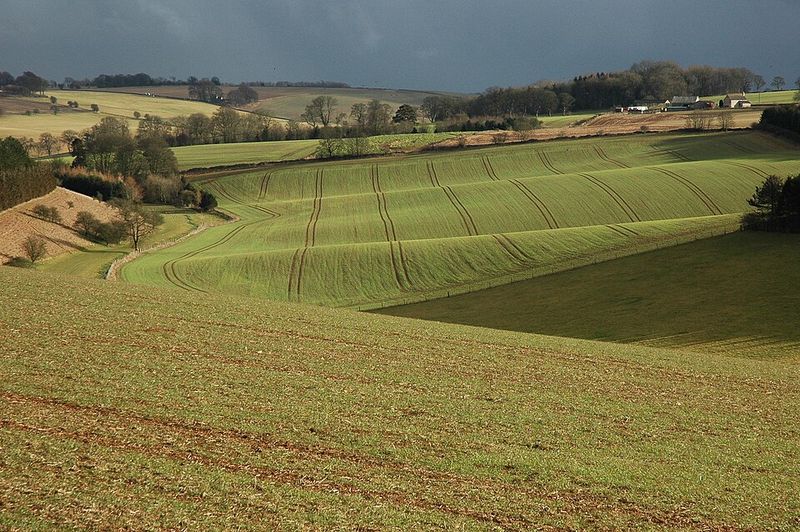 Arable Farmland Arable Farmland