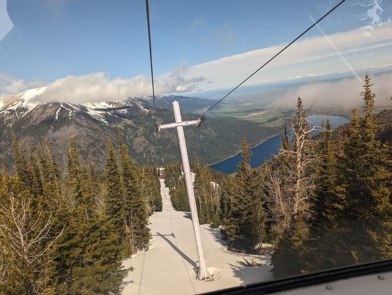 Arriving at the Summit: A World Above the Trees