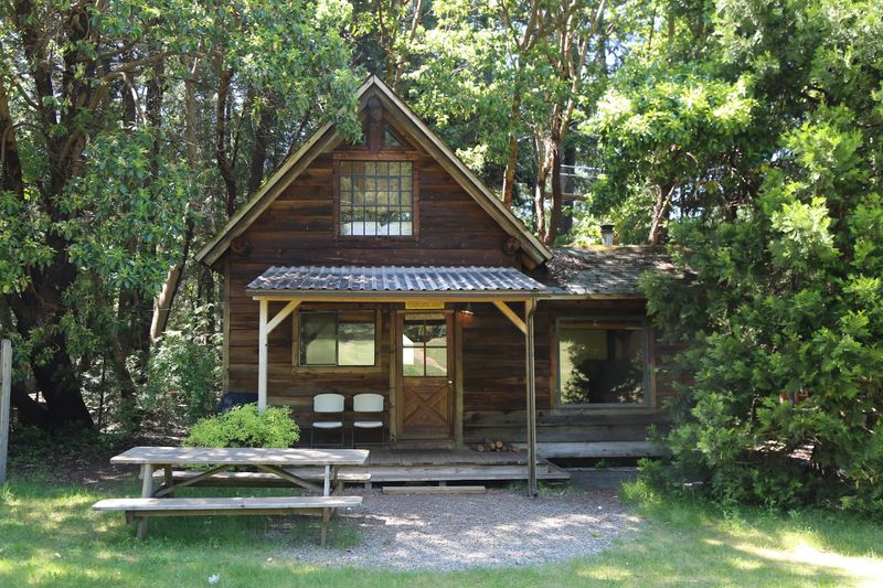 Arts, Crafts, and Community at the Treesort