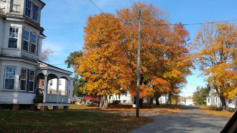 Arts, Culture, and the Creative Community