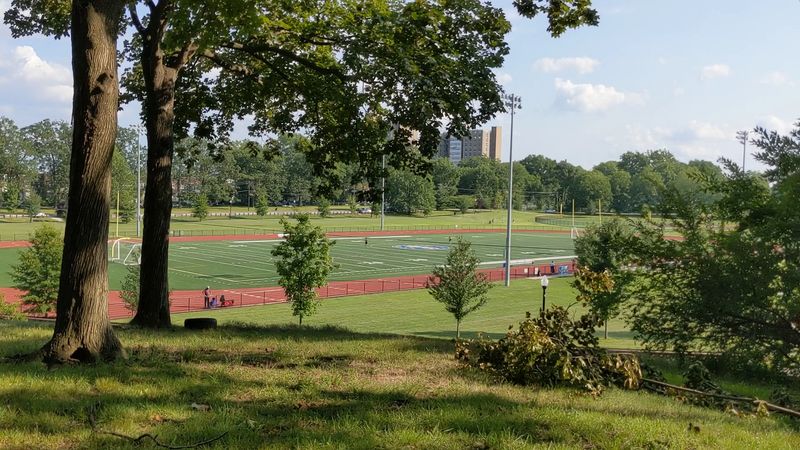 Athletic Fields That Host Real Competition