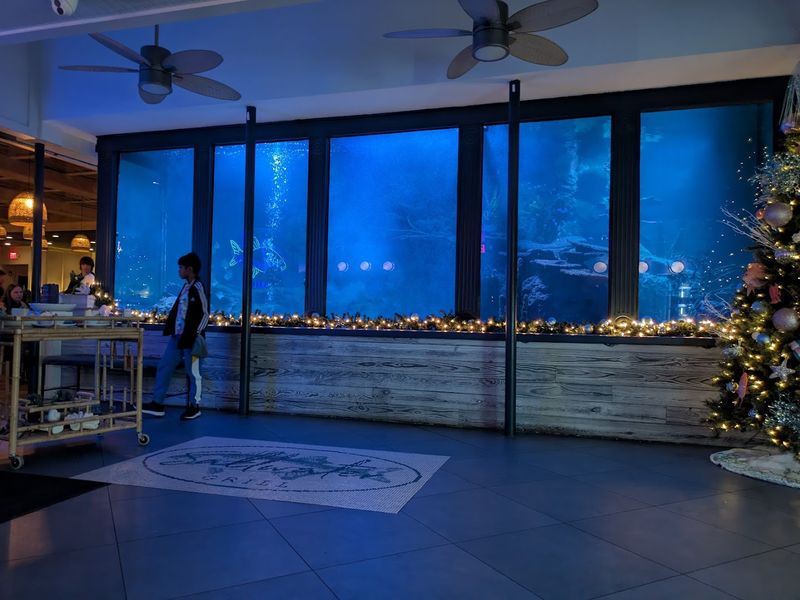 Atmosphere Inside: Romantic, Relaxed, and a Little Unexpected Atmosphere Inside: Romantic, Relaxed, and a Little Unexpected