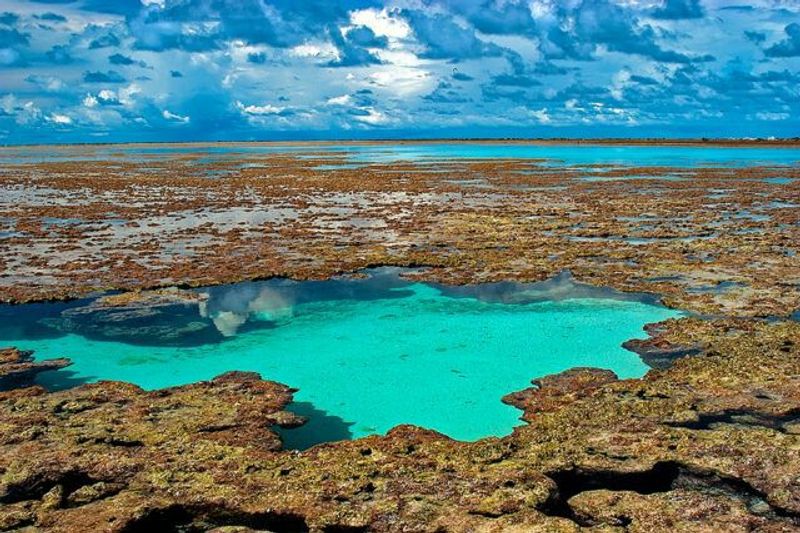 Atol das Rocas