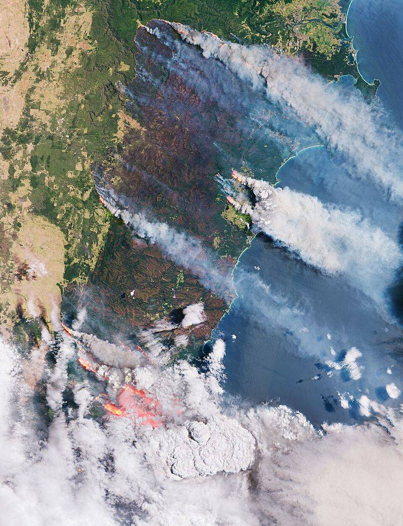 Australia's Wildfires Created Their Own Weather