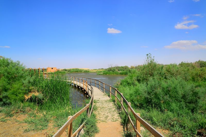 Azraq Wetland Reserve