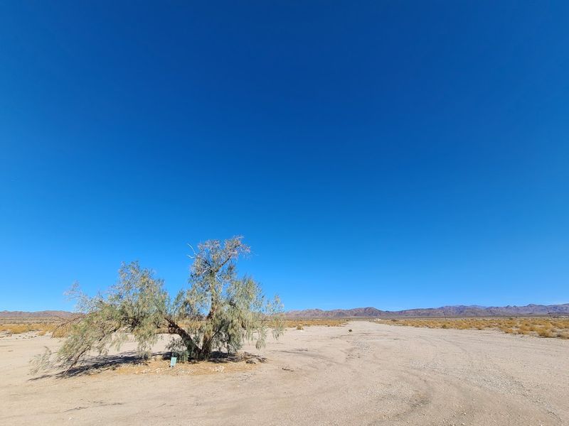 Bagdad, California