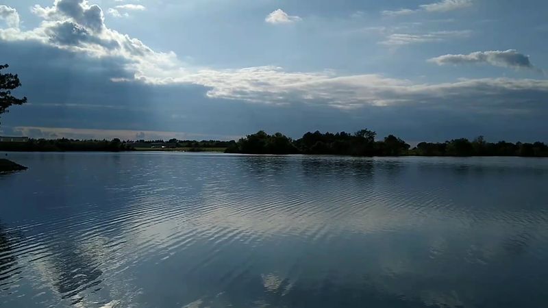 Bardwell Lake: Where the Water Meets the Wildflowers Bardwell Lake: Where the Water Meets the Wildflowers