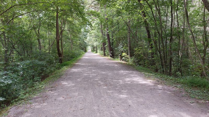 Barnegat Branch Trail