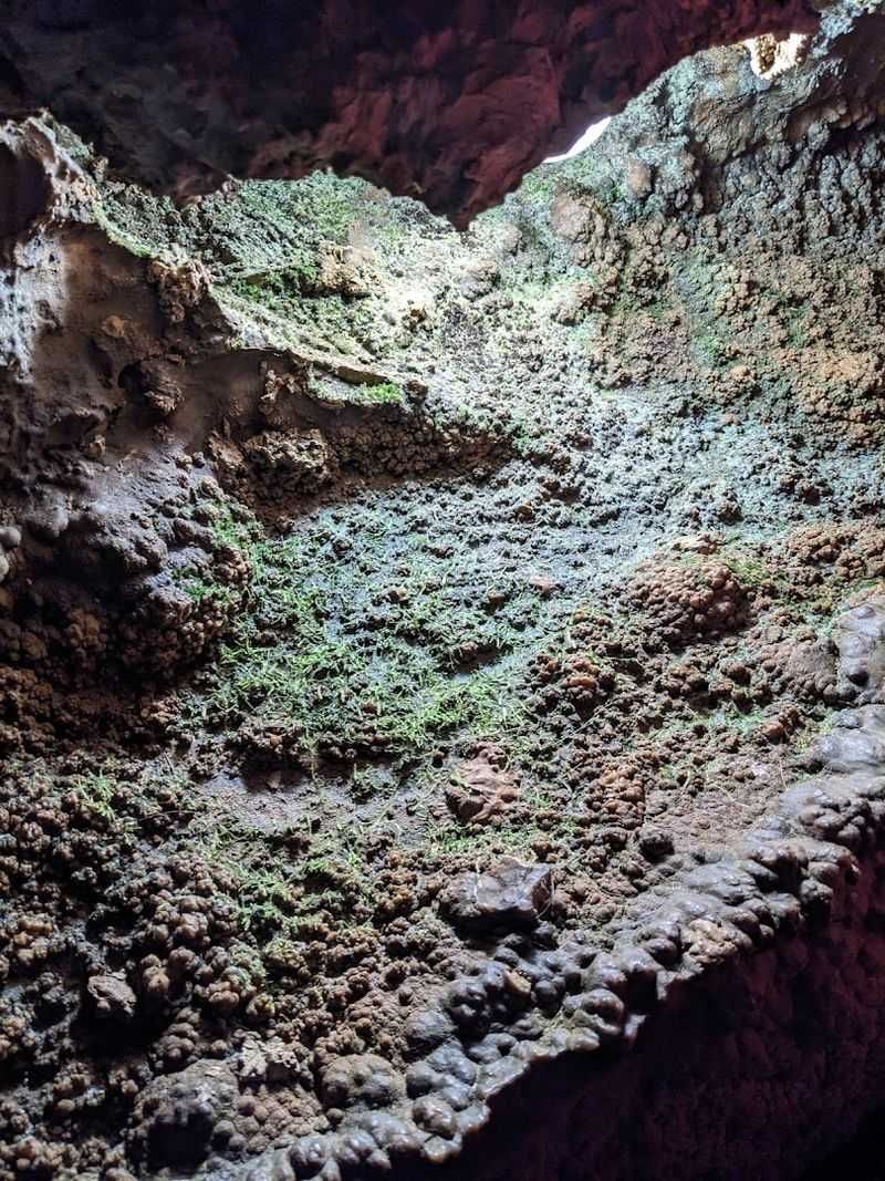 Bats in the Mountain