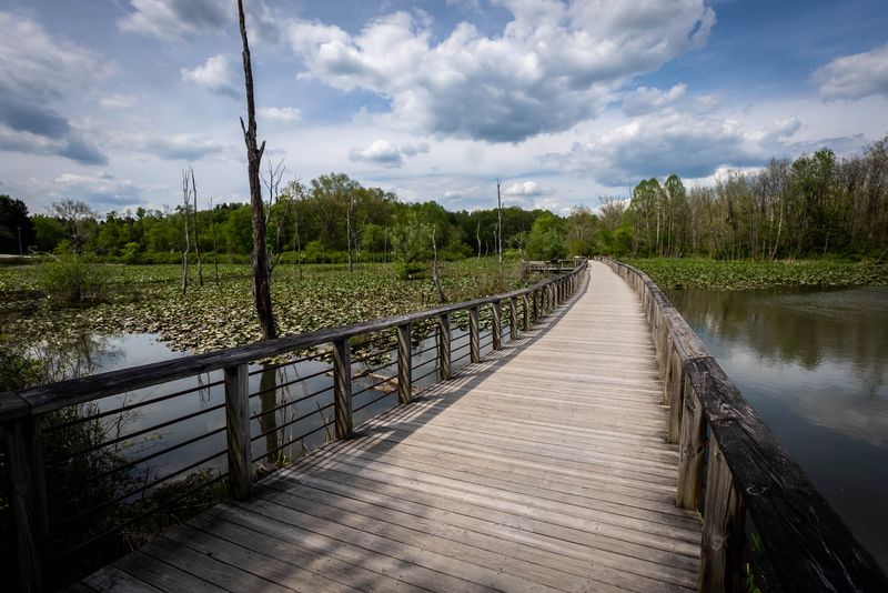 Beaver Marsh Area in Cuyahoga Valley National Park Beaver Marsh Area in Cuyahoga Valley National Park
