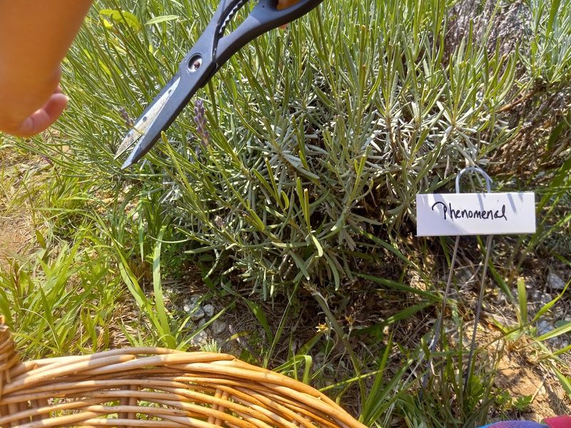 Beekeeping Classes That Add a Whole New Layer
