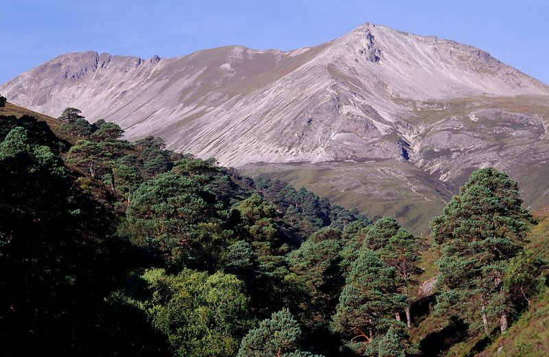 Beinn Eighe and Loch Maree Islands National Nature Reserve Beinn Eighe and Loch Maree Islands National Nature Reserve