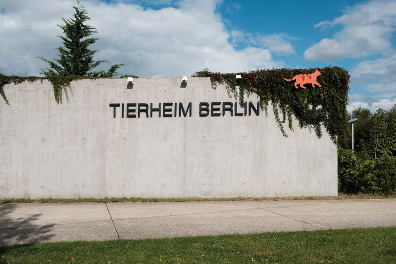 Berlin Animal Shelter (Tierheim Berlin), Berlin, Germany Berlin Animal Shelter (Tierheim Berlin), Berlin, Germany