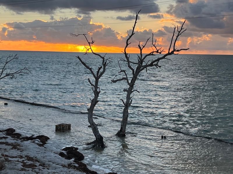 Best Time of Year to Visit Duck Key Area Best Time of Year to Visit Duck Key Area