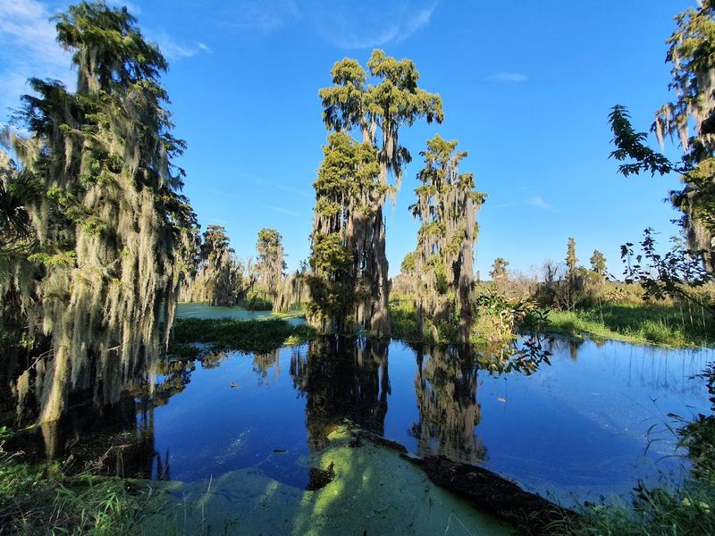 Best Time to Visit: Planning Around Florida's Climate