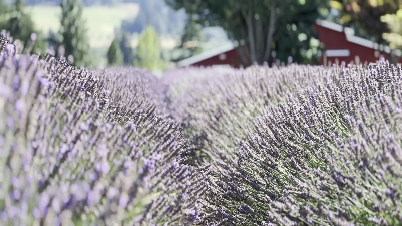 Best Time to Visit and Seasonal Tips Best Time to Visit and Seasonal Tips
