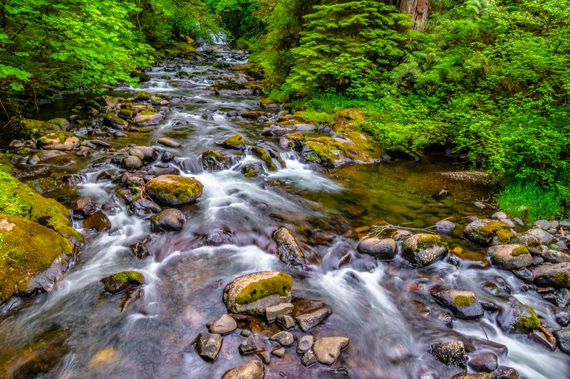 Best Times to Visit and Seasonal Highlights Best Times to Visit and Seasonal Highlights