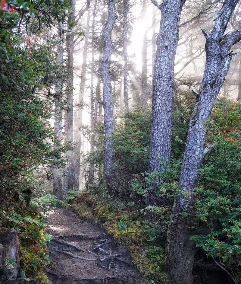 Best Times to Visit and Seasonal Highlights