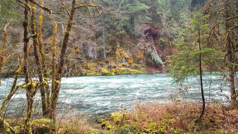Best Times to Visit and Seasonal Realities