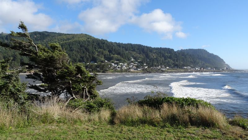 Best Times to Visit and What to Expect