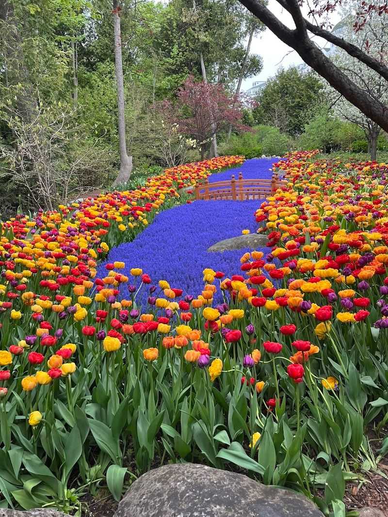 Best Times to Visit for Peak Color